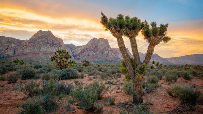 Spring Mountain Ranch Park